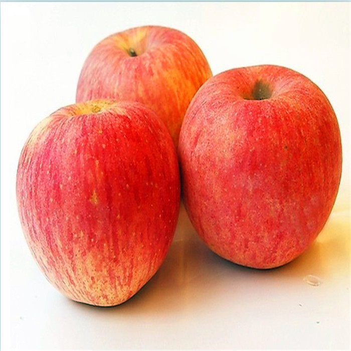 canned apple dry loading